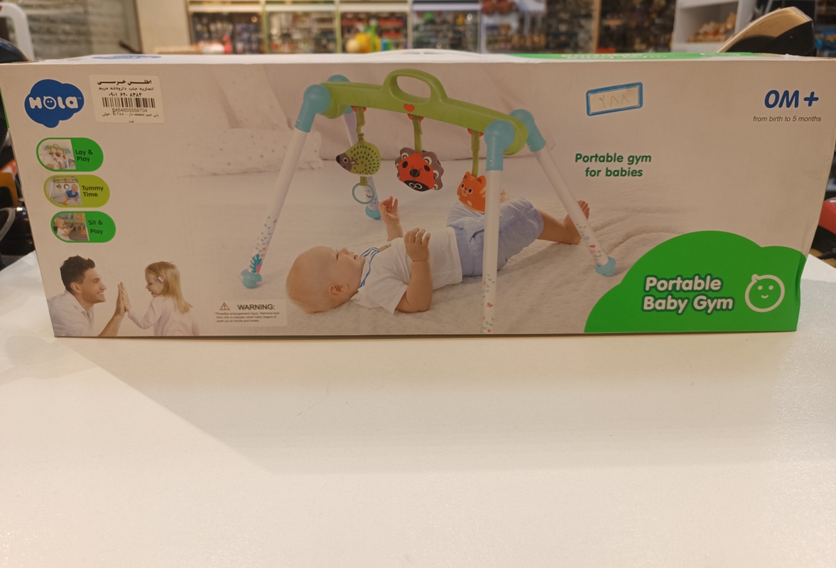 پلی جیم جغجغه دار - E 288 -هولی تویز / Hola