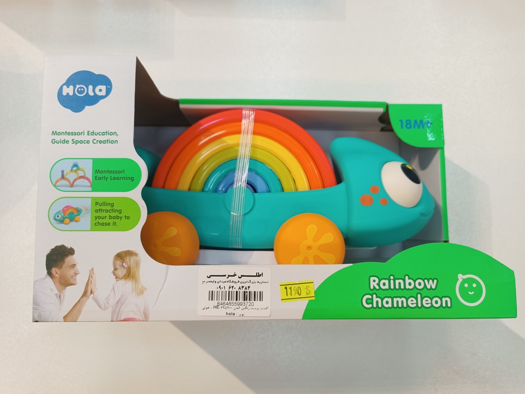 آفتاب پرست رنگین کمان HE 795700 - هولی تویز / hola