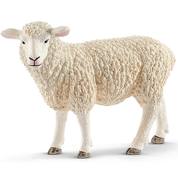 فیگور گوسفند- مدلSchleich /sheep