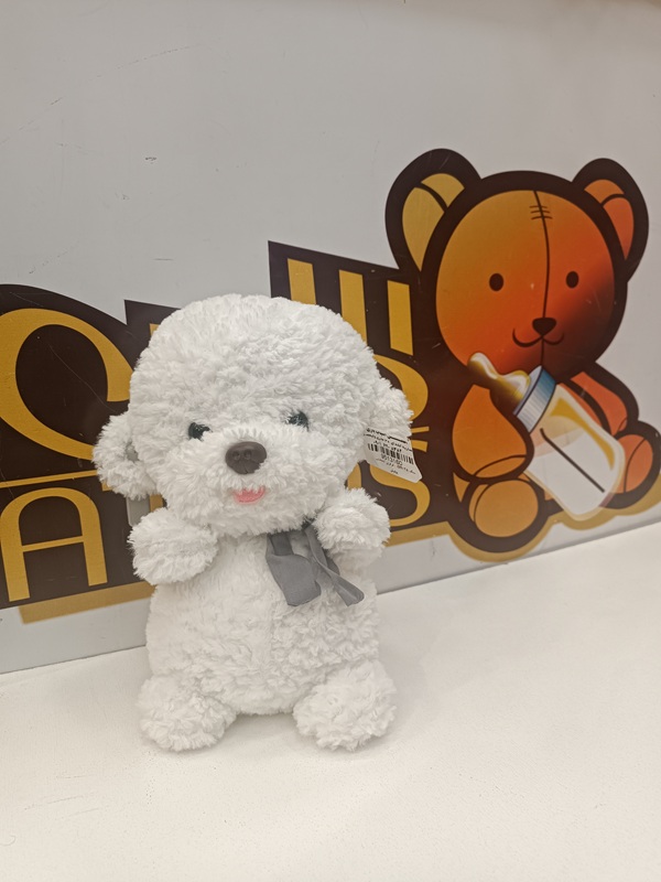 سگ cm 35 - فرفری ایستاده - - پولیش /